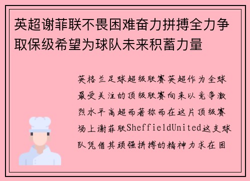 英超谢菲联不畏困难奋力拼搏全力争取保级希望为球队未来积蓄力量