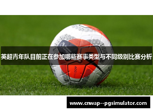 英超青年队目前正在参加哪些赛事类型与不同级别比赛分析
