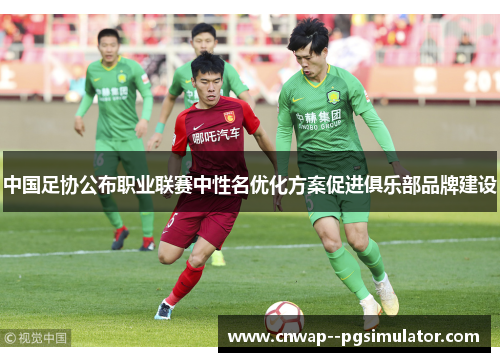 中国足协公布职业联赛中性名优化方案促进俱乐部品牌建设 中国足协公布职业联赛中性名优化方案促进俱乐部品牌建设